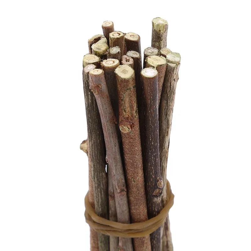 20/40/60PCS Wood Sticks for Crafts Wood Log Sticks Natural Mini Twigs Sticks for Photo Props DIY Crafts Home Decorations