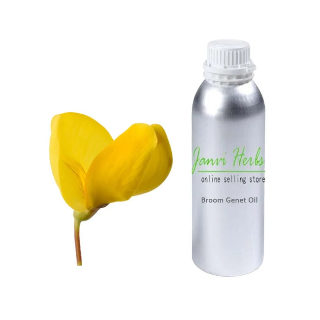 Certified Organic Premium Natural Perfume Ingredient Broom Genet Absolute Oil Pure Essential Oil for Fragrance Industry